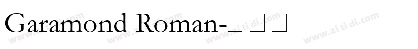 Garamond Roman字体转换